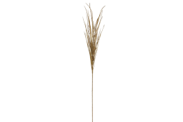 Větvička tráva zlatá 64 cm
