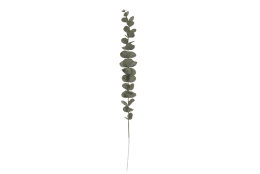 Eukalyptus větvička 1 ks 45 cm
