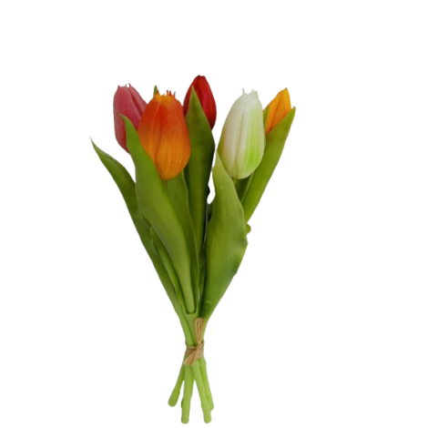 Tulipán svazek barevný, 5 ks