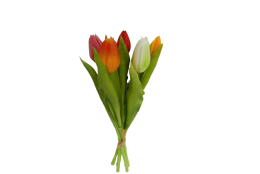 Tulipán svazek multi 5 ks 31 cm