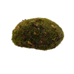 Mechový oblázek přírodní zelený 7*10 cm