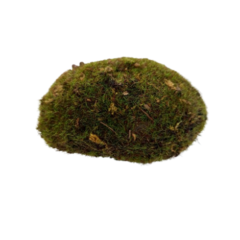 Mech přírodní zelený