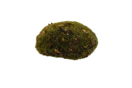 Mechový oblázek přírodní zelený 7*10 cm