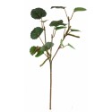 Větev bříza 30 cm