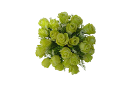 Růže kytice sv. zelená 24 květů 39 cm