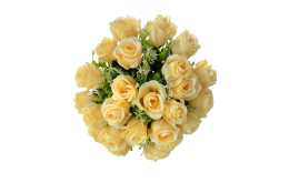Růže kytice žlutá 24 květů 39 cm