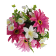 Gerbera kytice, 6 barev