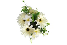 Gerbera kytice krémová 35 cm