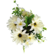Gerbera kytice, 6 barev