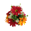 Gerbera kytice, 6 barev