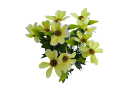 Cosmos Krásenka kytice zelená 34 cm