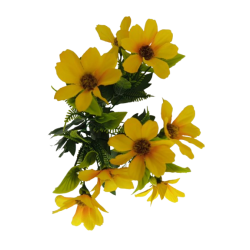 Cosmos Krásenka kytice žlutá 34 cm