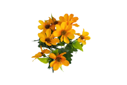 Cosmos Krásenka kytice oranžová 34 cm