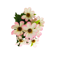 Cosmos Krásenka kytice růžovo-bílá 34 cm