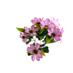 Cosmos Krásenka kytice fialková 34 cm