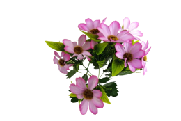 Cosmos Krásenka kytice fialková 34 cm