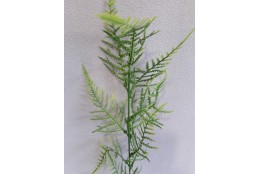 Asparagus větvička 3 ks 57 cm