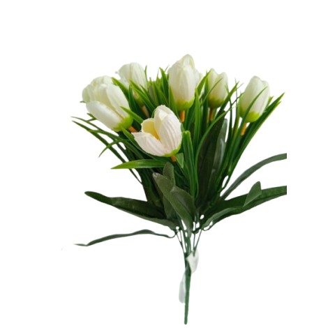 Krokus svazek, bílý