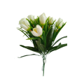 Krokus svazek, bílý