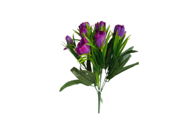 Krokus svazek tm. fialový 33 cm