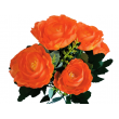 Ranunculus svazek, 6 barev