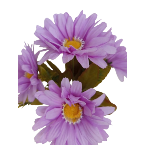Gerbera kytice, 6 barev