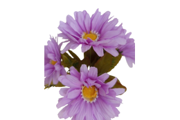 Gerbera kytice fialová 29 cm