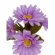 Gerbera kytice, 6 barev