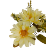 Gerbera kytice, 6 barev
