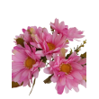 Gerbera kytice, 6 barev