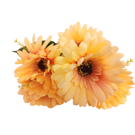 Gerbera kyt., 6 barev