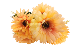 Gerbera kytice meruňková 31 cm