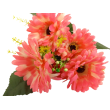 Gerbera kyt., 6 barev