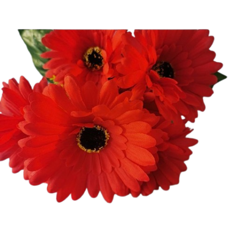 Gerbera kyt., 6 barev