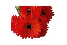 Gerbera kytice červená 31 cm