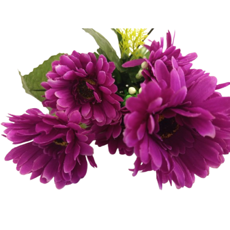 Gerbera kyt., 6 barev