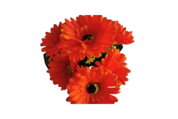 Gerbera kytice oranžová 31 cm