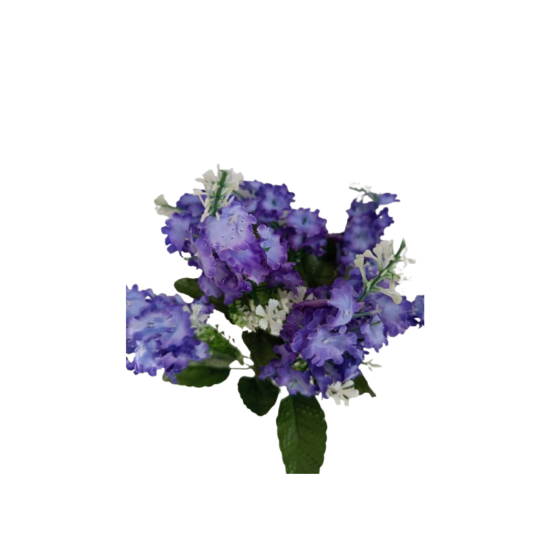 Šeřík svazek, 4 barvy