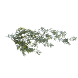 Převis plast bílo-zelená 80 cm