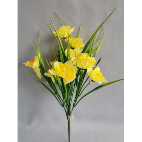 Narcis kytička, 2 barvy