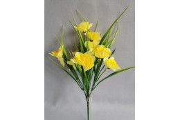 Narcis kytička žlutá 30 cm