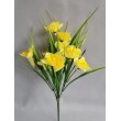 Narcis kytička, 2 barvy