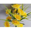Narcis kytička, 2 barvy
