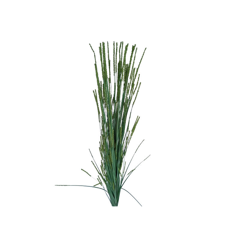 Tráva dekorační kvetoucí tm. zelená, 99 cm