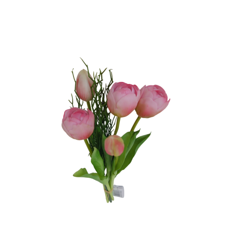 Tulipán svazek růžový, 5 ks