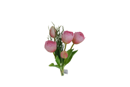 Tulipán svazek růžový, 5 ks