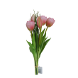 Tulipán svazek růžový, 5 ks
