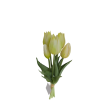 Tulipán svazek krémovozelený, 5 ks