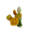 Tulipán svazek zeleno-žlutý, 5 ks