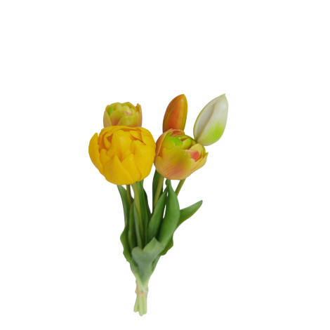 Tulipán svazek zeleno-žlutý, 5 ks